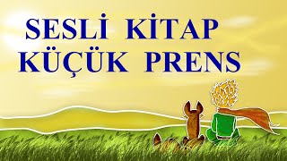 KÜÇÜK PRENS SESLİ KİTAP  TÜM BÖLÜMLER [upl. by Sayles]