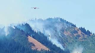 Columbia Gorge Wildfire June 2024 Water Bombers [upl. by Tabina355]