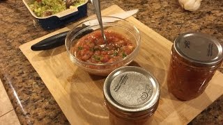 Making Salsa in a Blender SUPER EASY [upl. by Nahgeam]