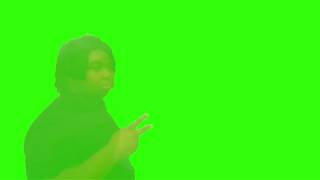 Nilesey Niles Disappear Green Screen [upl. by Chien407]