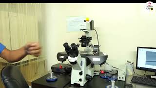 Understanding the ICSI Procedure  Explained by Senior Embryologist Atif Yar Khan [upl. by Aifas316]