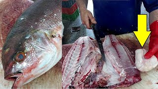 Amazing Cutting Skills  Red Snapper  Easiest Way To Remove Fish Skin [upl. by Aikemal188]