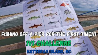 Fishing Challenge 1v1 Pier Fishing for the FIRST TIME off the coast of Hatteras Island NC [upl. by Ailhad]