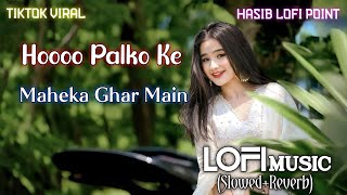 Hooo Palko Ke Maheka Ghar Main  Hooo Palko ke Lofi Music Slowed Reverb  Har Dil Jo Pyar Karega [upl. by Keir594]