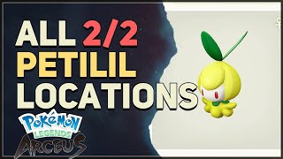 All Petilil Locations Pokemon Legends Arceus [upl. by Reagan]