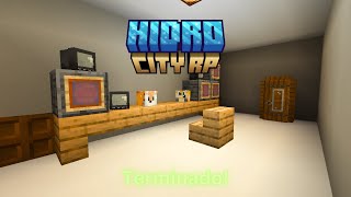 Minecraft Hidro City Rp TEMPORADA 2 EP 39  TERMINEI DE FAZER O LOCAL [upl. by Nyltiac154]