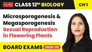 Microsporogenesis amp Megasporogenesis  Sexual Reproduction in Plants  Class 12 Biology Chapter 1 [upl. by Orsino49]