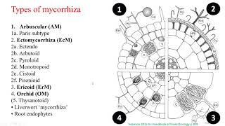 Mycorrhiza its types and use of mycorrhizal traits back to the roots [upl. by Htehpaj118]