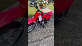 2025 Honda CRF110F WalkAround crf110 honda [upl. by Enilrahc]