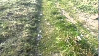 Merthyr Tydfil  The Past Cairn Y Bugail Megalithic Tomb [upl. by Topliffe640]