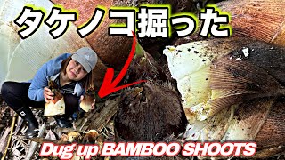 DIGGING UP BAMBOO SHOOTS 【タケノコ掘り】May Kageyama 竹の子bambooshootscountryside [upl. by Norrv]