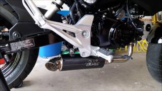 Honda Grom TDR STunt Carbon Exhaust [upl. by Andreana407]