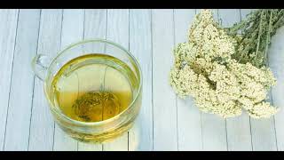 Yarrow Tea Superb 5 Benefits of This Tea [upl. by Elazaro]