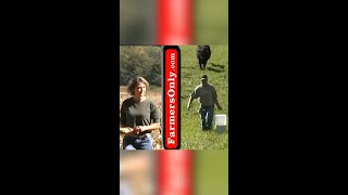 Farmers Only Iconic Commercials [upl. by Ttik]