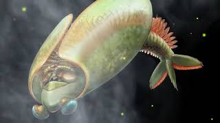 Ancient swimming ‘taco’ had ‘bug jaws’ new fossils show [upl. by Leseil734]