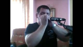 When The Saints Go Marching In  Harmonica cover [upl. by Jeannine]