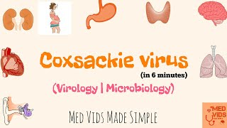 Coxsackievirus  Microbiology  Med Vids Made Simple [upl. by Weixel]