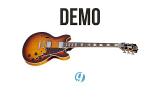 D’Angelico Premier DC XT Semi Hollowbody Audio Demo dangelico electricguitars [upl. by Tynan968]