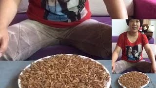 Chinese Woman Eats Live Maggots  Eating Challenge Hodgetwins [upl. by Acinad]