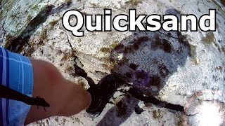 The Dangers of Quicksand Videos [upl. by Eggett]