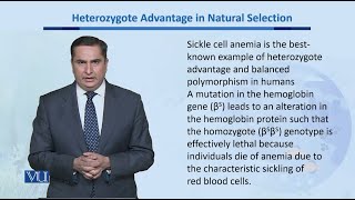 Heterozygote Advantages in Natural Selection  Biodiversity amp EvolutionII  BT201Topic172 [upl. by Cirdet105]