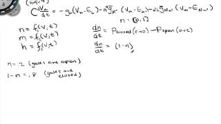 Hodgkin Huxley Equations [upl. by Suirauqram]