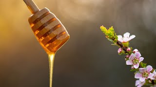 Australian Manuka Medicinal Honey from Australias Manuka [upl. by Aicilak449]