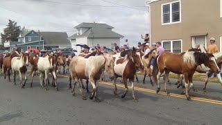 Chincoteague Island Pony Swim and Parade 🐎 [upl. by Eidorb]