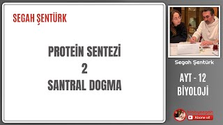 Genden Proteine  Protein Sentezi Part 2  AYT BİYOLOJİ  12SINIF  YKS 2025 [upl. by Annaig]