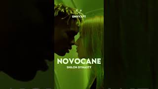 NOVOCAINE  SHILOH DYNASTY SLOWED REVERB LYRICS [upl. by Irallih12]