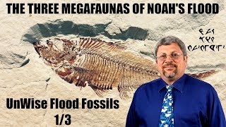 The Three Megafaunas of Noahs Flood  UnWise Flood Fossils [upl. by Nnazil147]