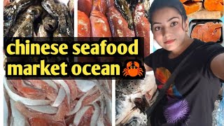 china seafood market ocean🦀🇨🇳go to ocean buying fresh sea foodRishivlogr1 [upl. by Afital308]