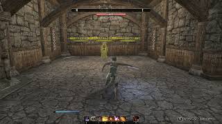 ESO スキル 攻撃の杖 力の発動 Force Shock [upl. by Eugenia471]