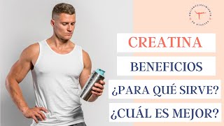 ¿Para qué sirve la creatina ¿Cómo se toma y cuál es mejor ✅ Beneficios para hombres y mujeres [upl. by Anse]