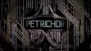 Wildpath  Petrichor Official Music Video 2014 [upl. by Jahdai]