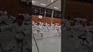 Karate Kata Training  Tekki Shodan Shotokan JKA [upl. by Aisnetroh]