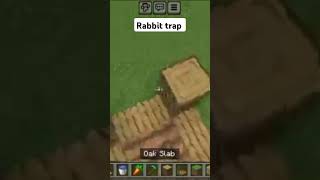 Minecraft rabbit trap 😱 shorts [upl. by Nnilsia]