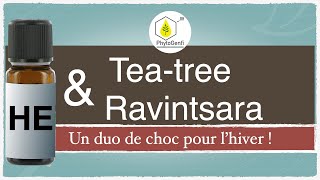 Teatree et Ravintsara un duo de choc pour l’hiver [upl. by Irene947]