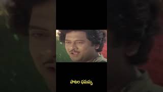 పరిమళించు పున్నమిలో  Parimalinchu Punnamilo  Song short  Puli Bebbuli 1983 [upl. by Belinda]