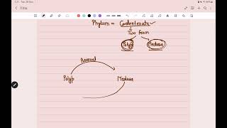 what is metagenesis [upl. by Bobbye]