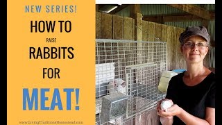 How To Raise Rabbits for Meat Series Introduction [upl. by Malek]