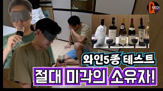 큐와인생 MZ의사들의 제 1회 와인 5종 블라인딩 테스트와인리뷰 [upl. by Klump]