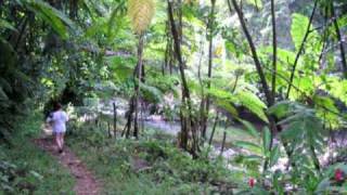 3 rivers Eco Lodge Dominica  Green Hotel of the Year [upl. by Alol]