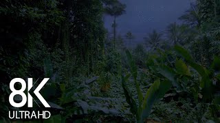 Jungle Nightlife Sounds 8K  10HRS of Cicadas Singing amp other Sounds of Night Creatures  Part 1 [upl. by Lundeen588]