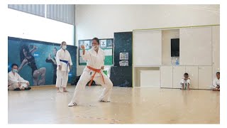 Heian Sandan  Kata Training  Shotokan Karate Kata [upl. by Ylrbmik]