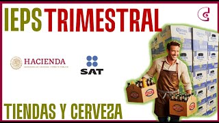 Curso Todo Sobre IEPS Parte 3  Como Presentar Informativa Trimestral y Anual [upl. by Eille438]