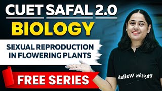 Sexual Reproduction in Flowering Plants  Biology  CUET Safal 20 [upl. by Lubbock706]