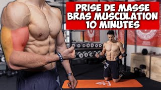 Prise de masse bras biceps triceps musculation programme [upl. by Clova156]