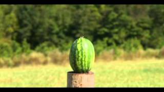 Best Exploding Watermelons Shot With Multiple Waepons [upl. by Freyah689]