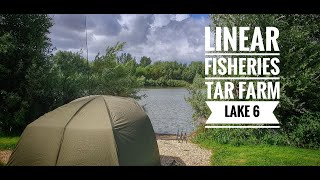 Carp fishing  Tar farm lake 6 Linear Fisheries for 24 hrs in gale force winds and heavy rain [upl. by Eeresid960]